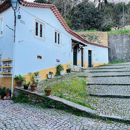 Vila Pe Do Castelo Casinha - Pet Friendly & Garage Tomar Exteriér fotografie