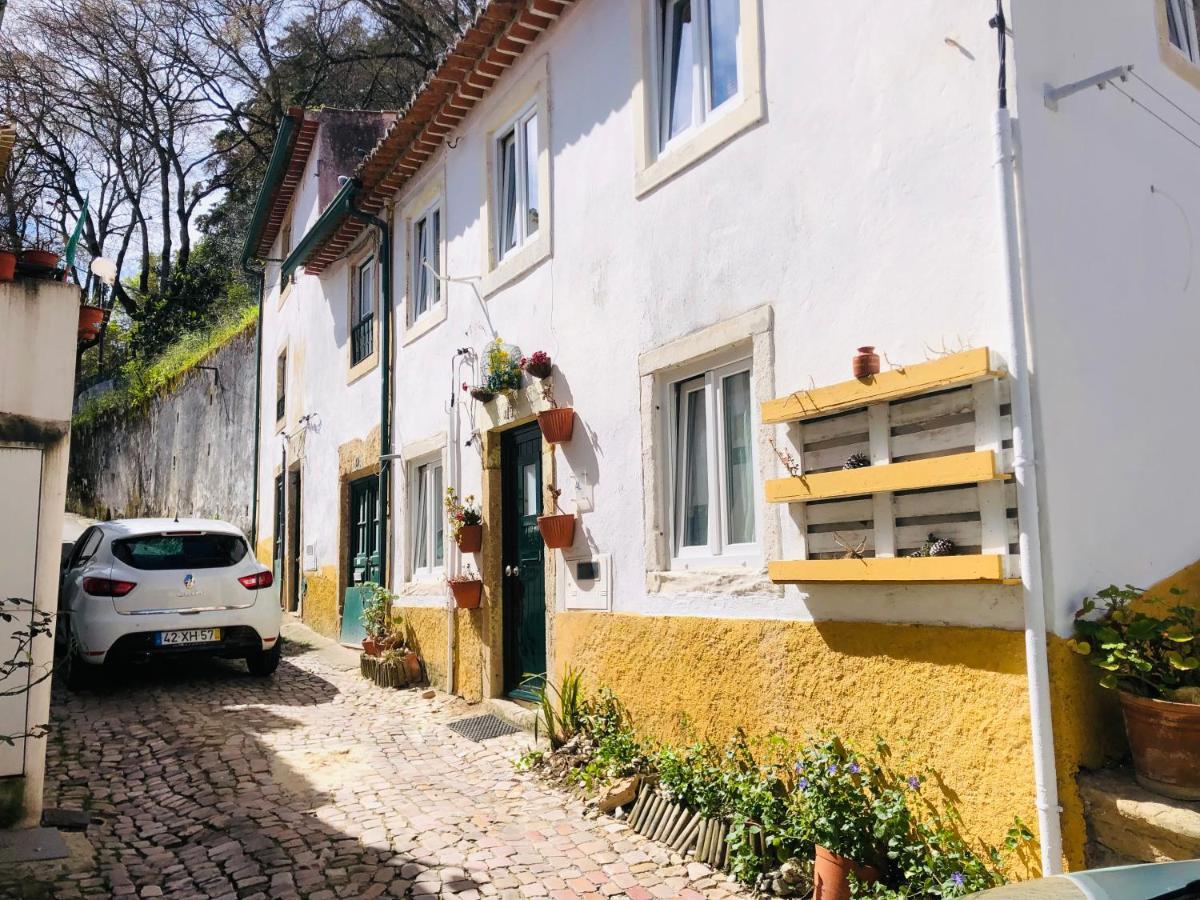 Vila Pe Do Castelo Casinha - Pet Friendly & Garage Tomar Exteriér fotografie